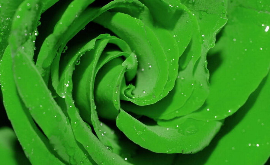 Значение и смысл зеленого цвета: цвет надежды